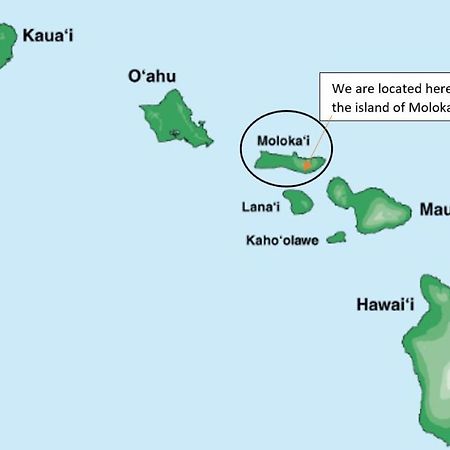 Апартаменты Molokai Island Retreat With Beautiful Ocean Views And Pool - Newly Remodeled! Ualapue Экстерьер фото